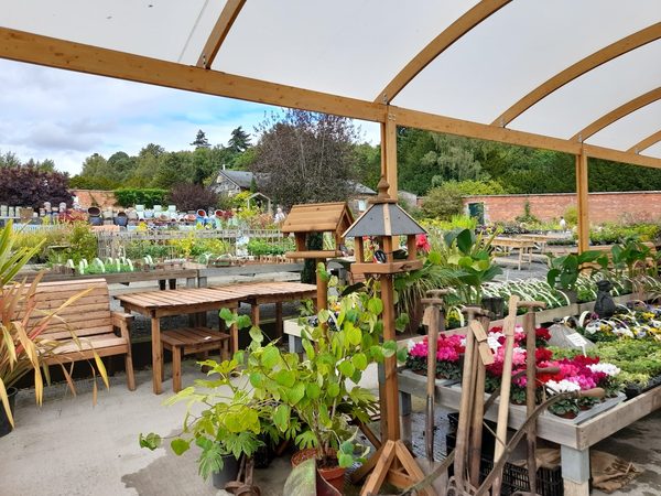 Birdhouse Tearoom