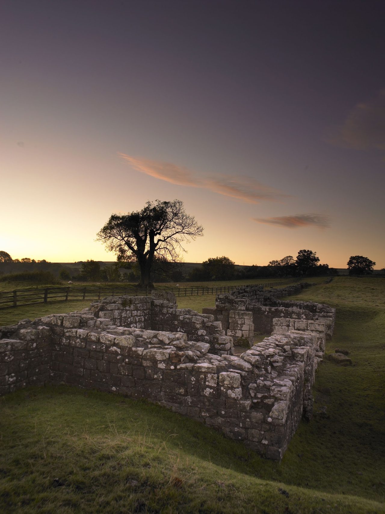 Birdoswald Roman Fort and Cafe