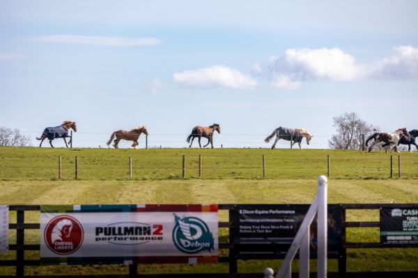 Bishopton Equestrian Cafe