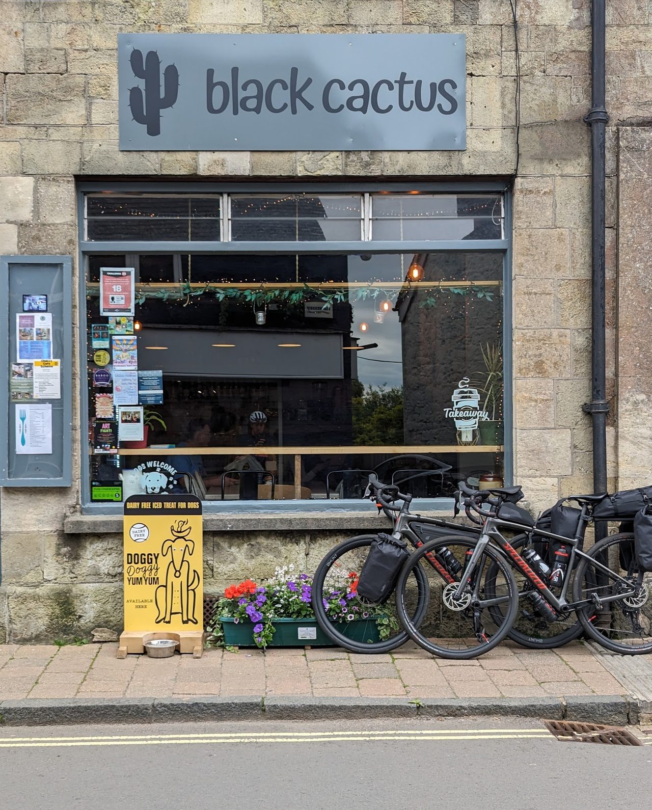 Black Cactus Shaftesbury