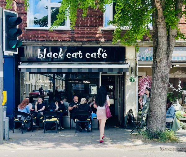 Black Cat Café