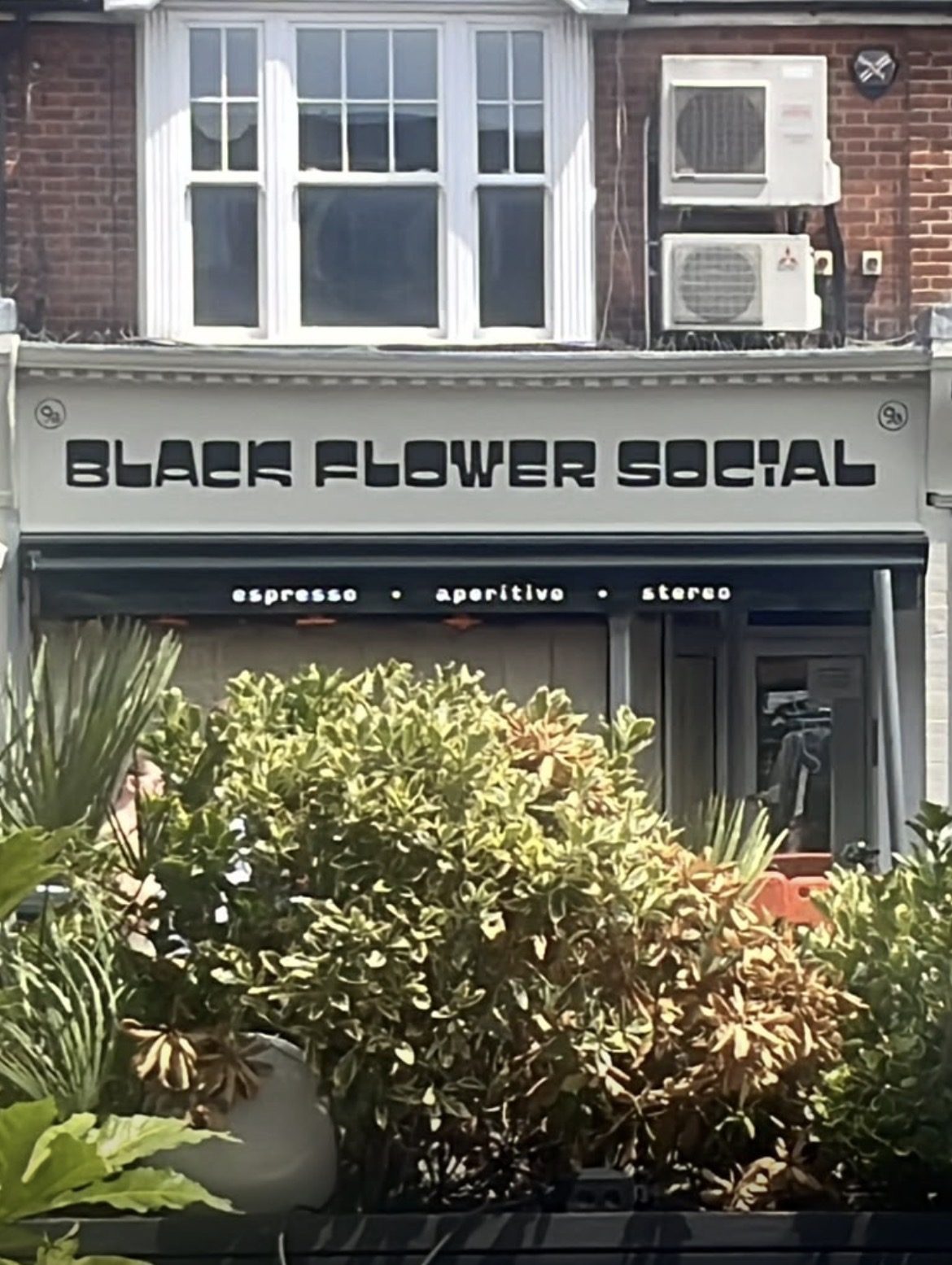 Black Flower Social