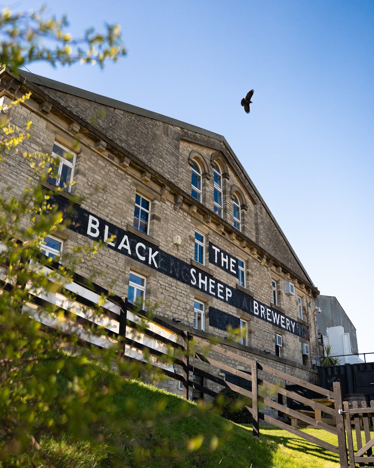 Black Sheep Brewery Restaurant & Bar