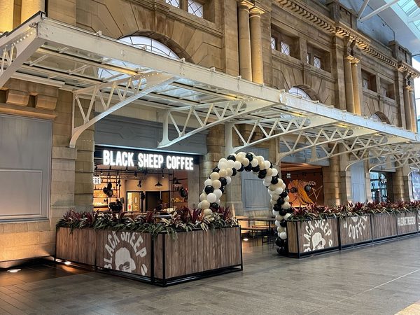 BLACK SHEEP COFFEE