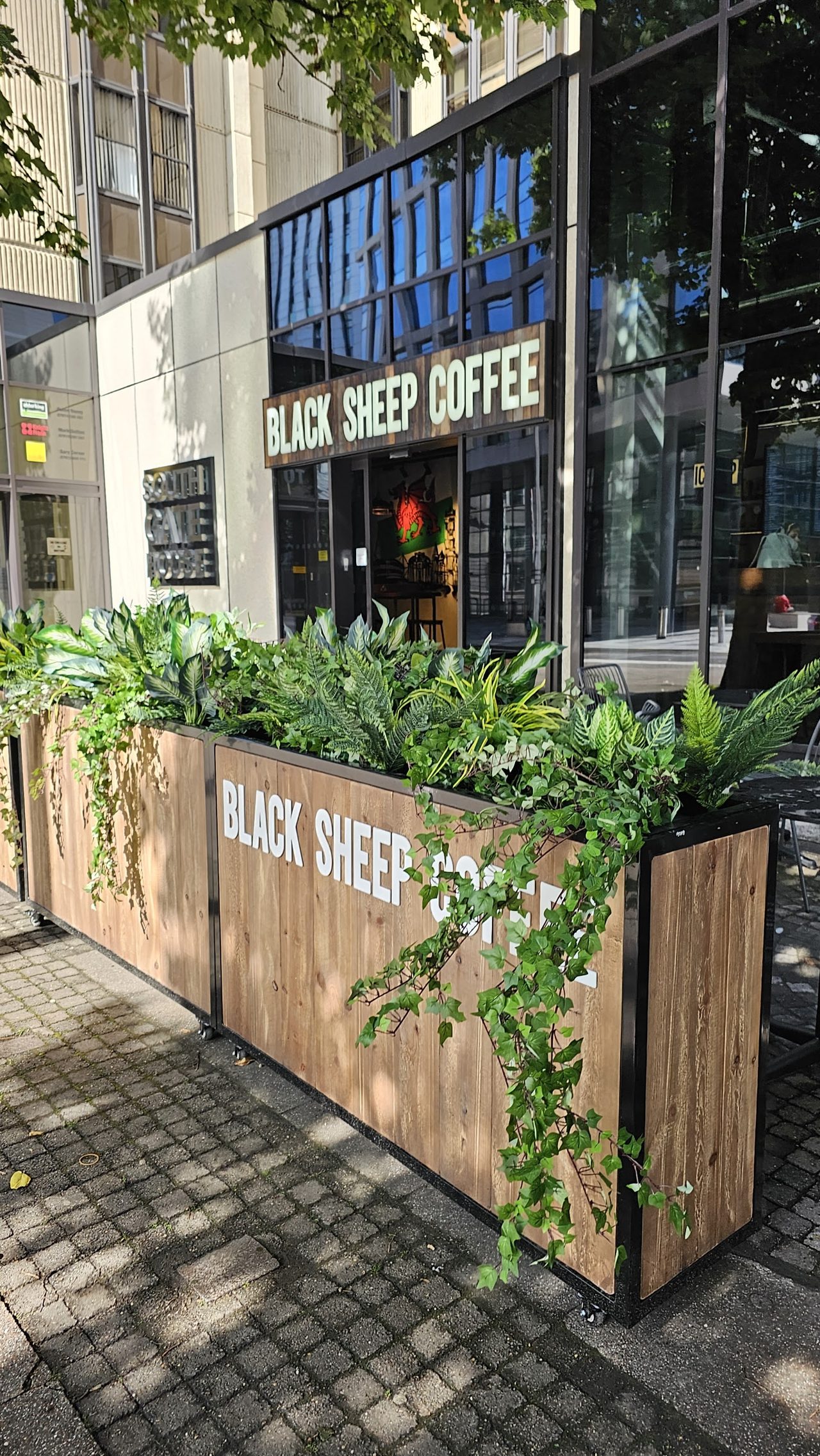 Blacksheep Coffee