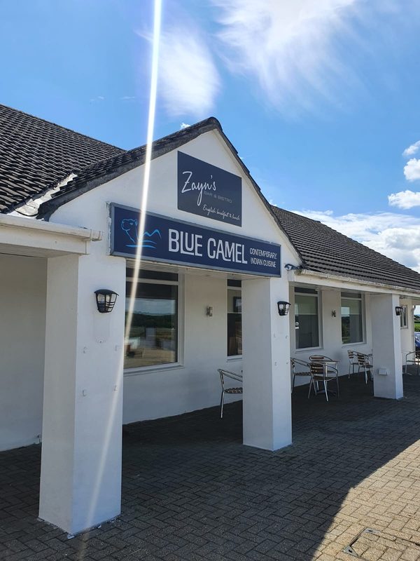 Blue Camel
