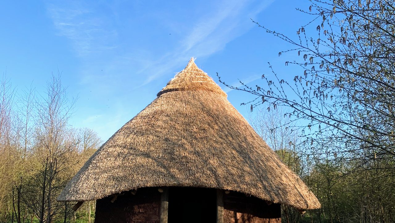 Bluebell Lane Glamping