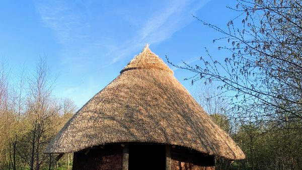 Bluebell Lane Glamping