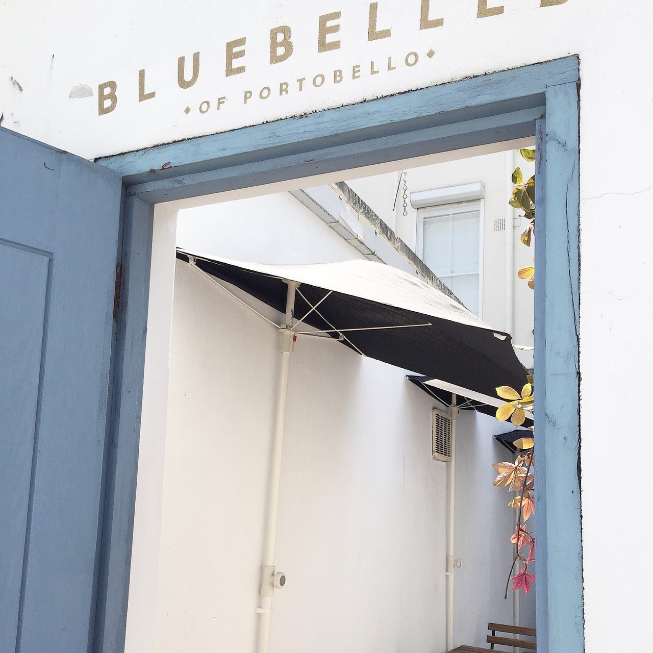 Bluebelles Of Portobello