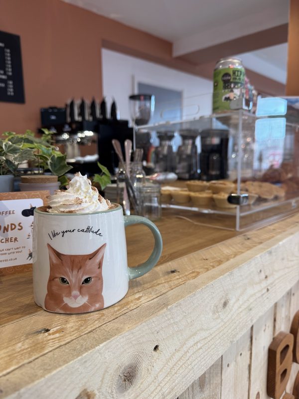 Bobcats Coffee