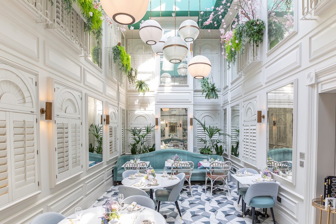 Botanica Afternoon Tea