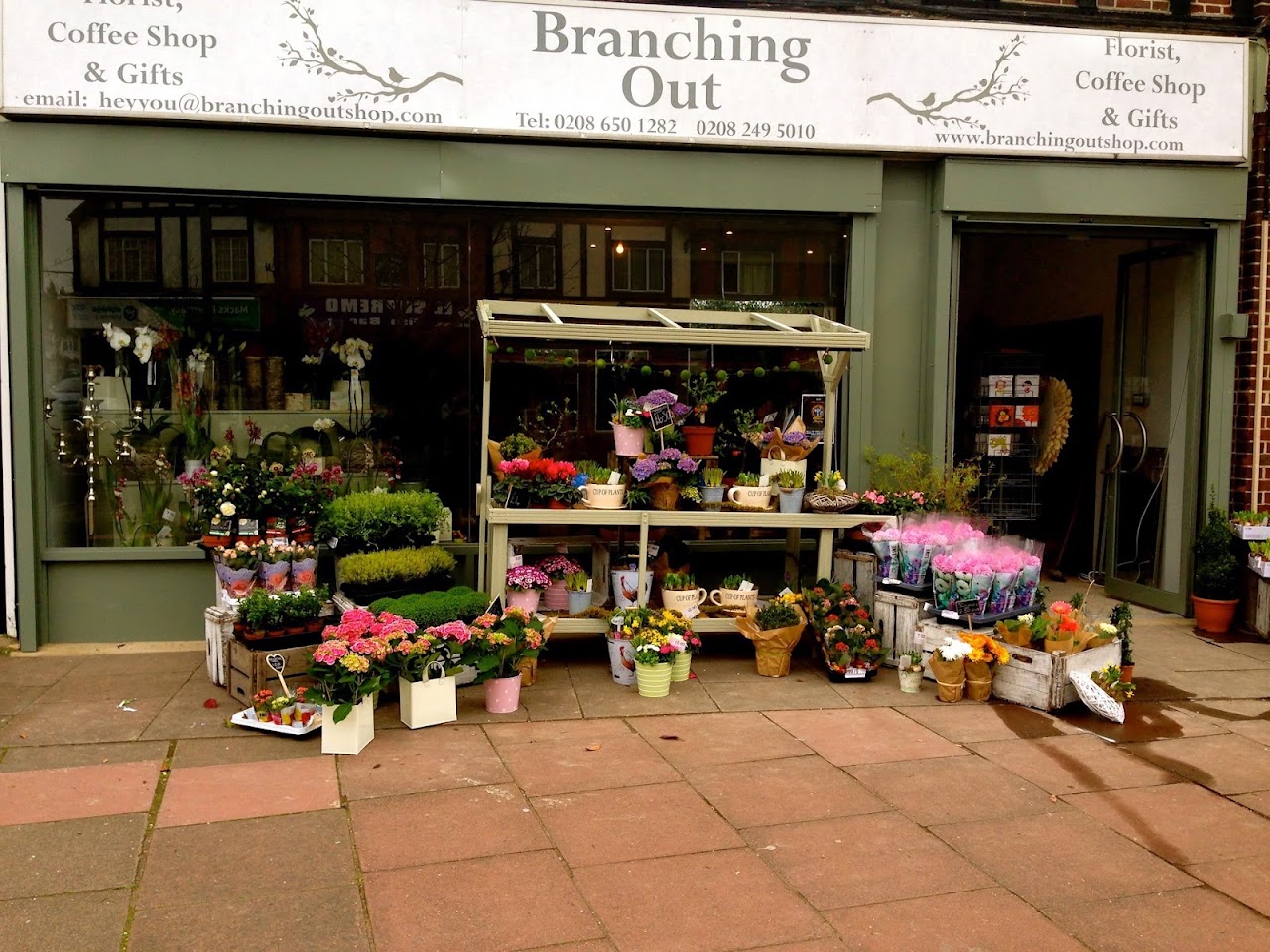 Branching Out