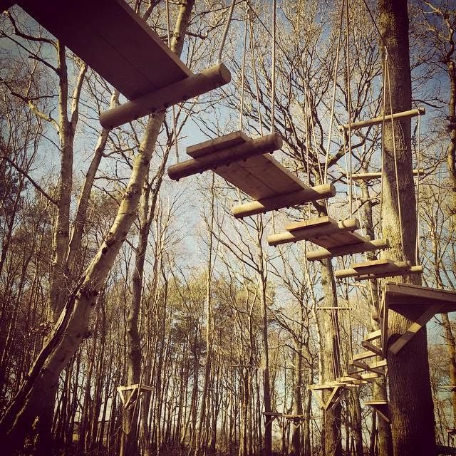 Branching Out Adventures