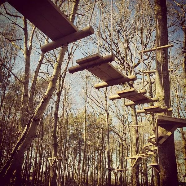 Branching Out Adventures