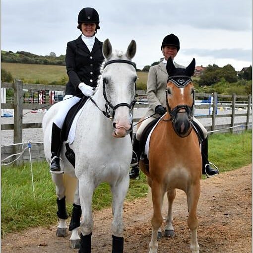 Brendon Stud And Saddlery