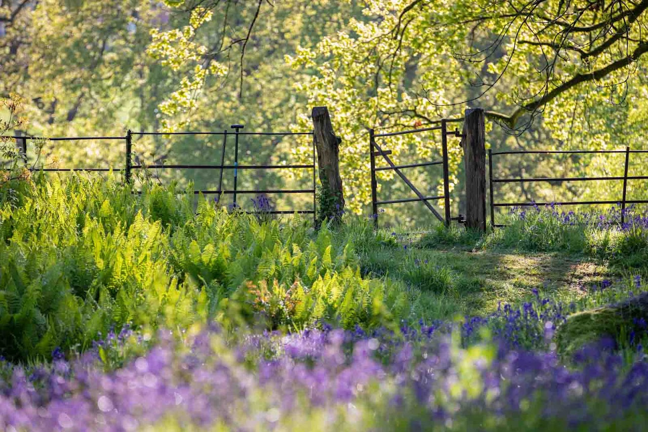 Burrow Farm Gardens Tearoom