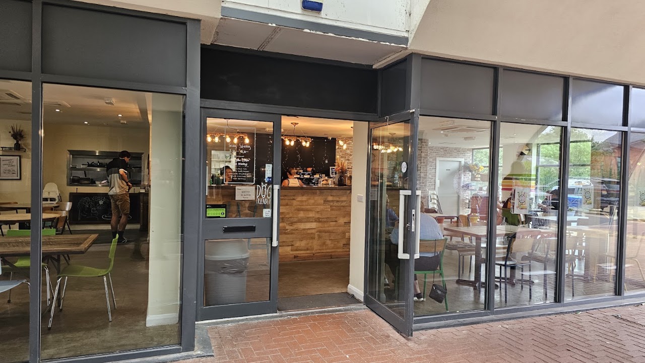 Cactus Kitchen