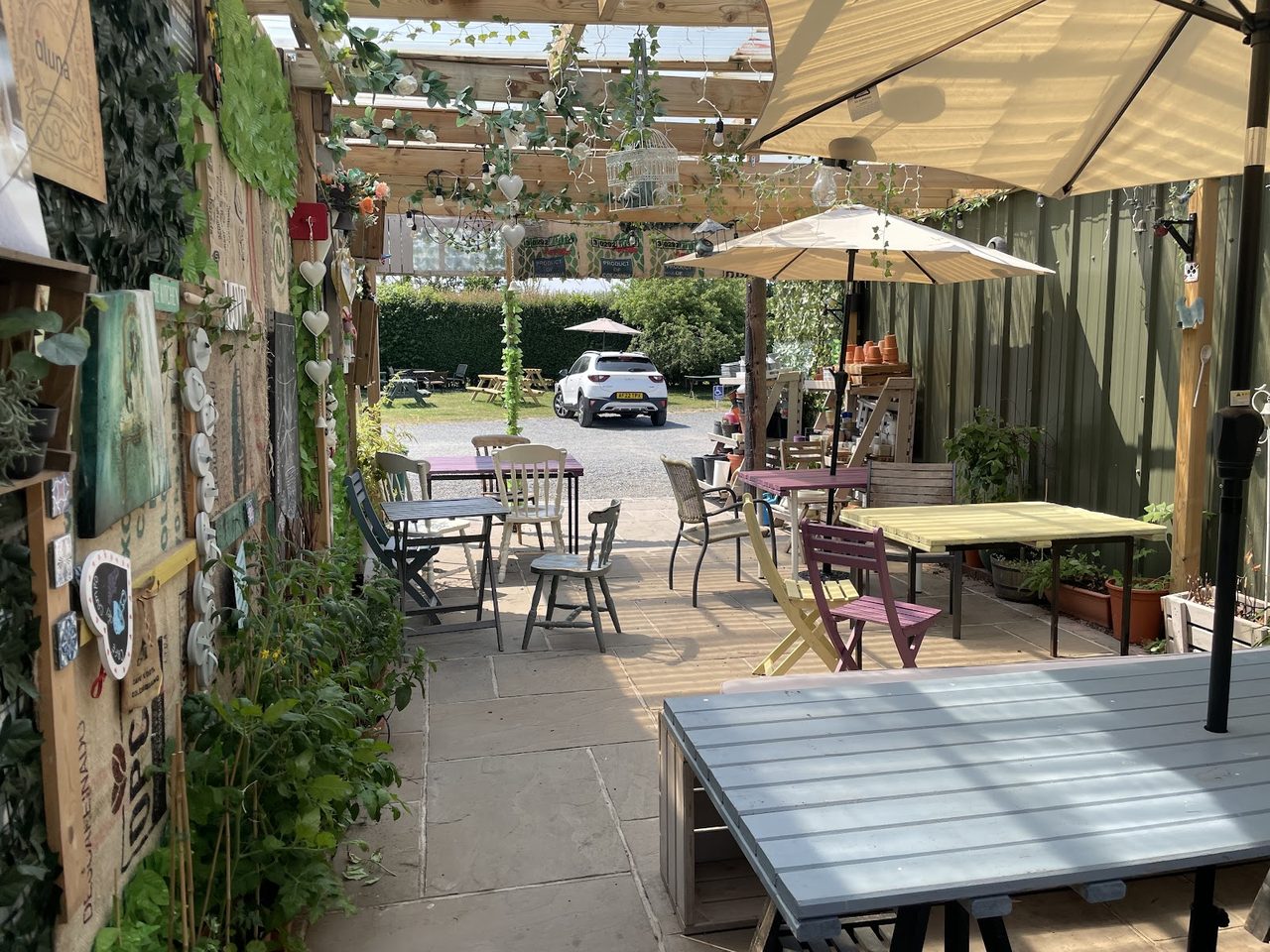 Cafe Amigo LTD
