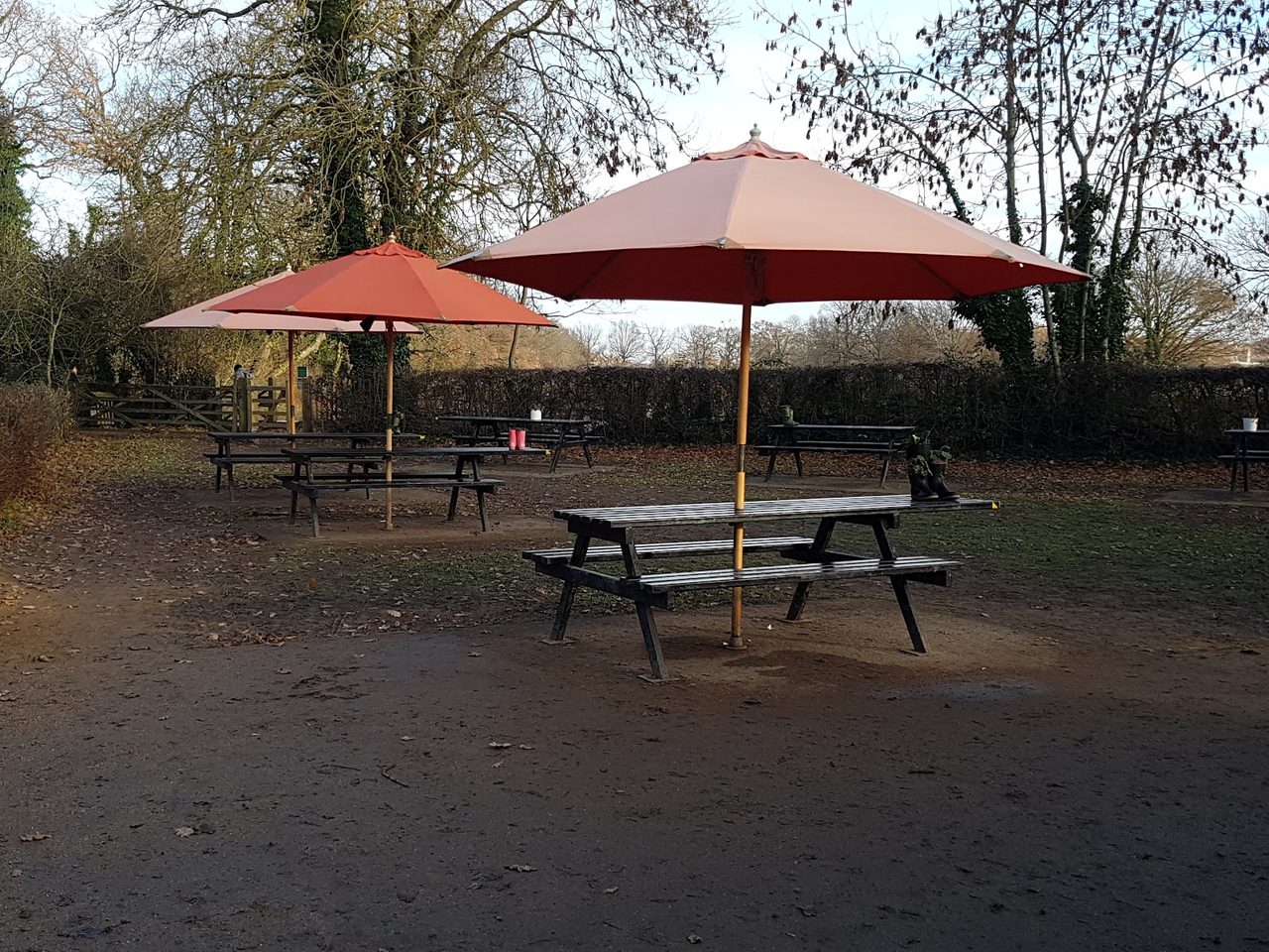 Cafe In The Park