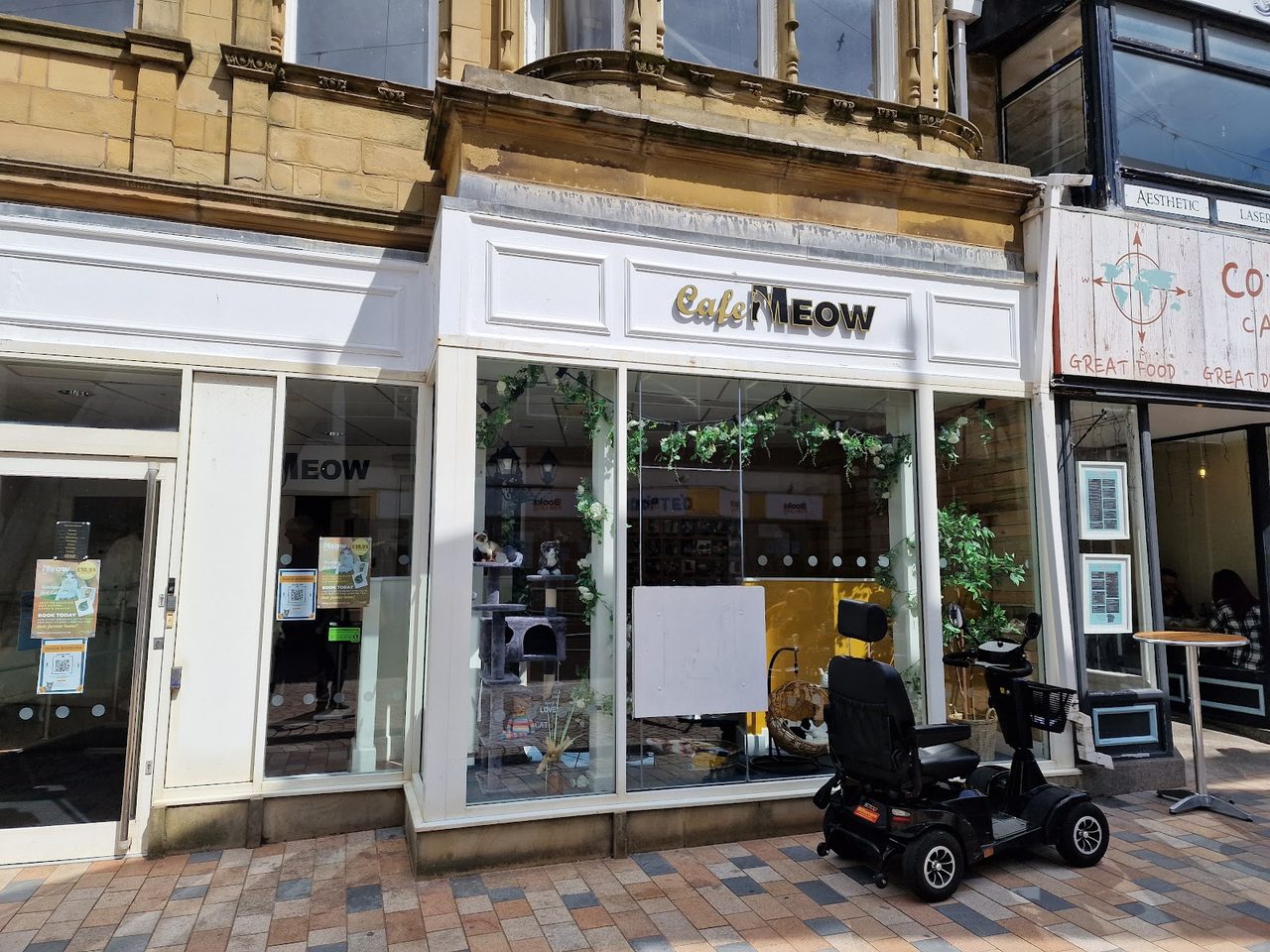 Cafe Meow Limited
