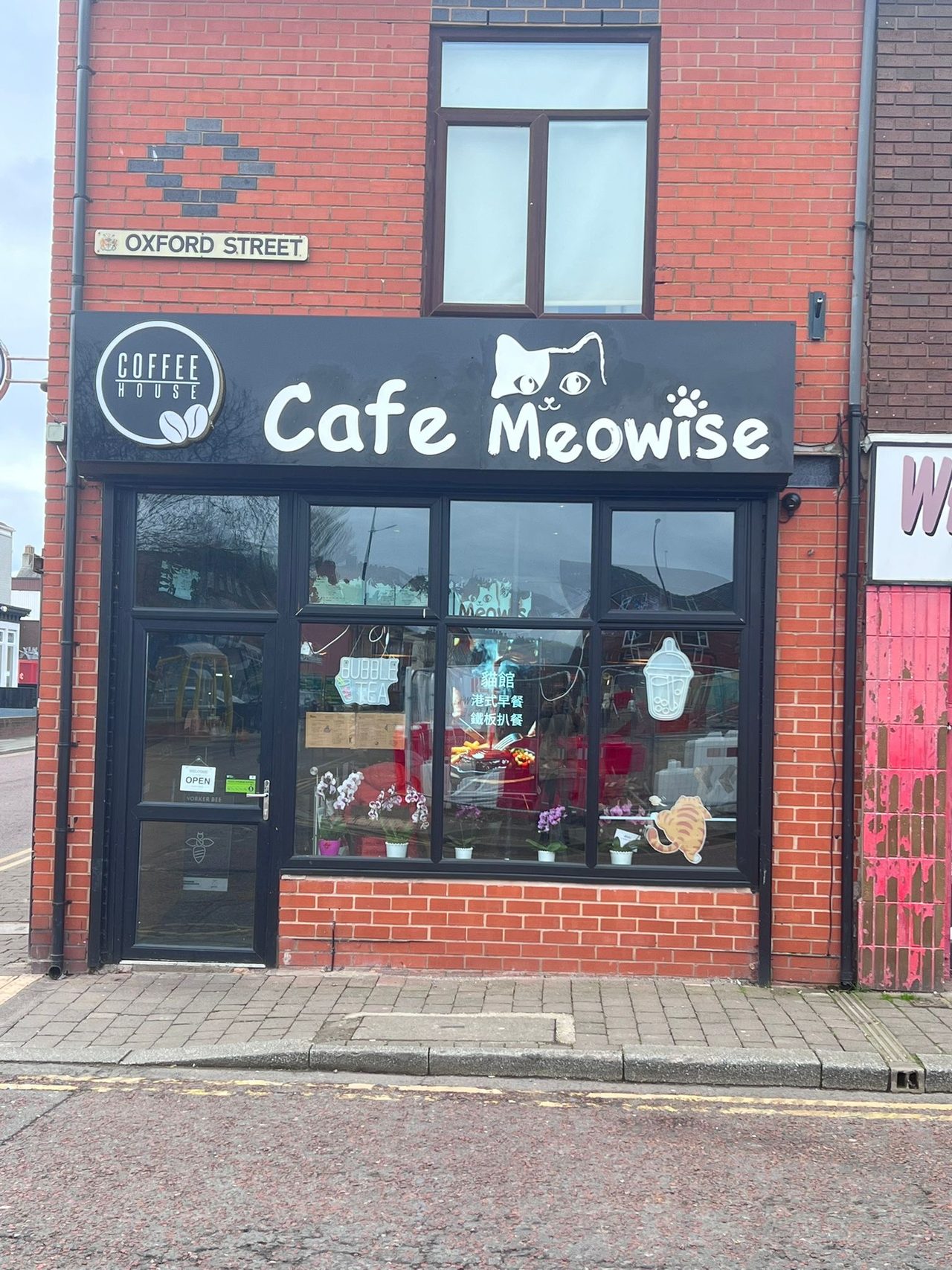Cafe Meowise
