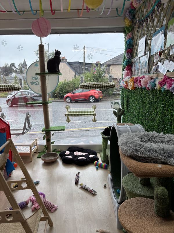 Cafe Tiki