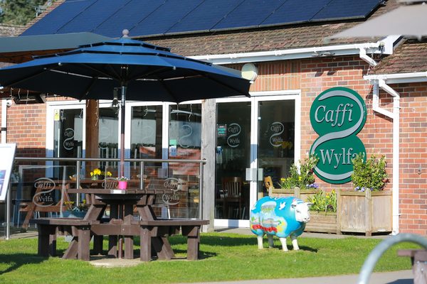 Caffi Wylfa