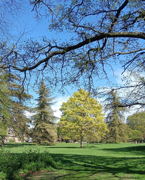 Cambridge Kids Club @ Oaks