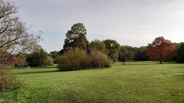Camer Park Kiosk