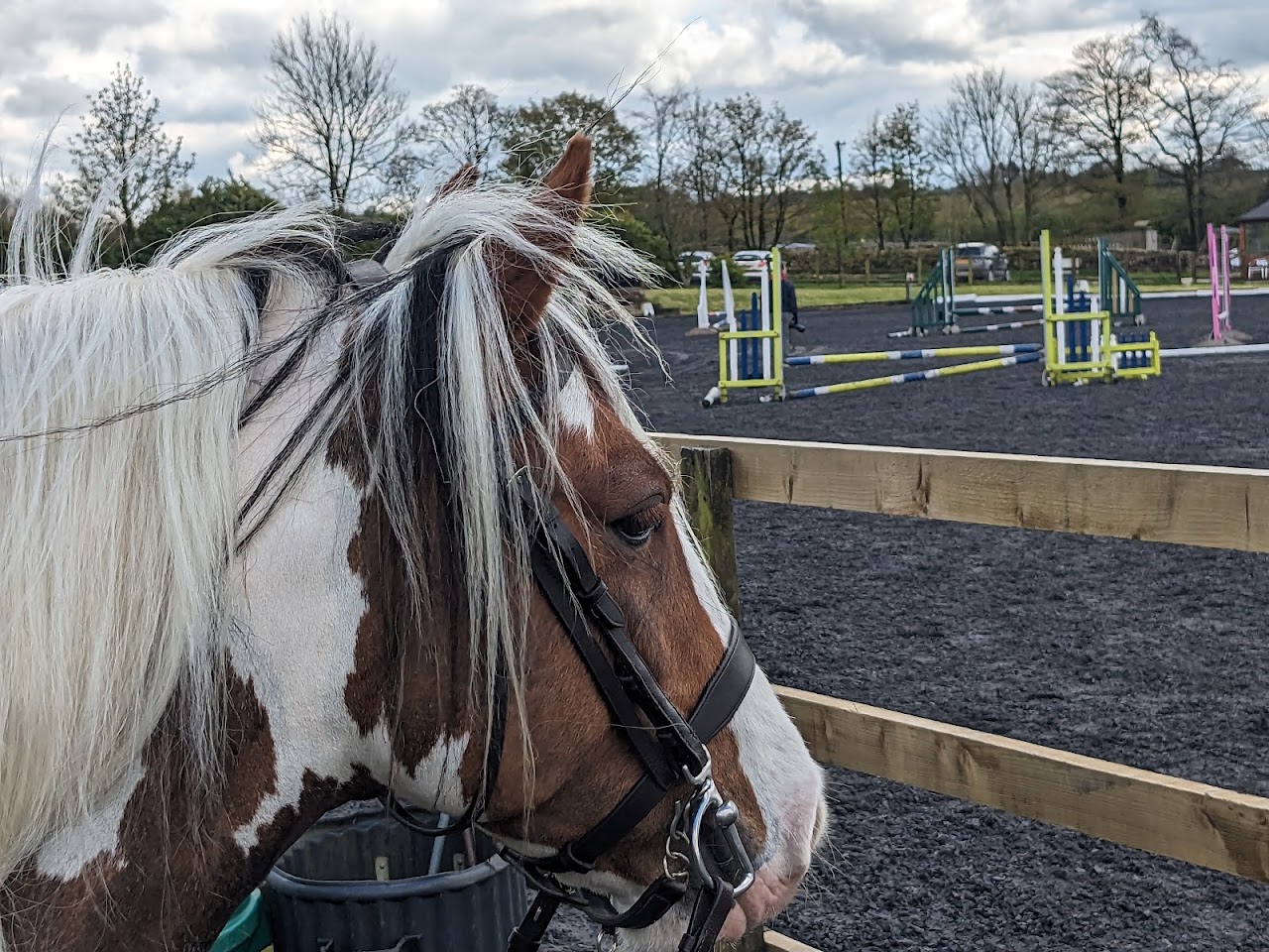 Canter Café @ Beaver Hall Equestrian.