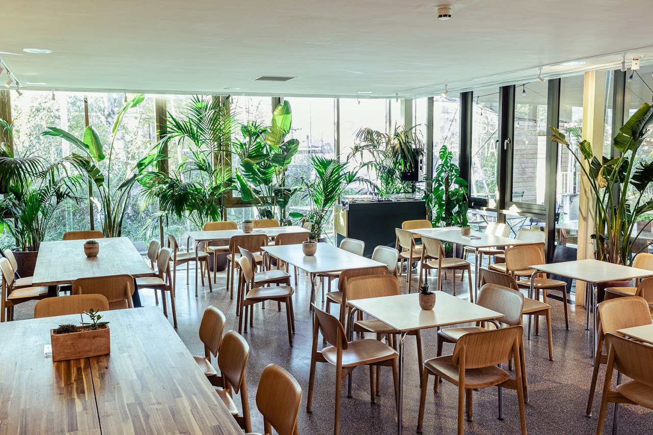 Cantine at Camden Art Centre