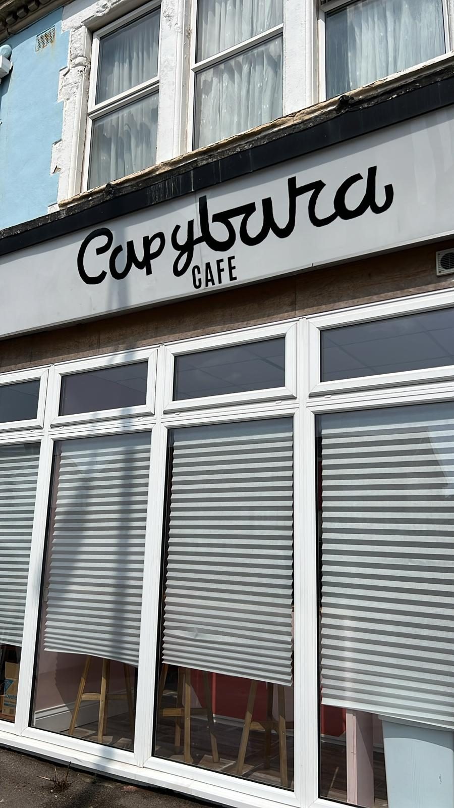 Capybara Cafe