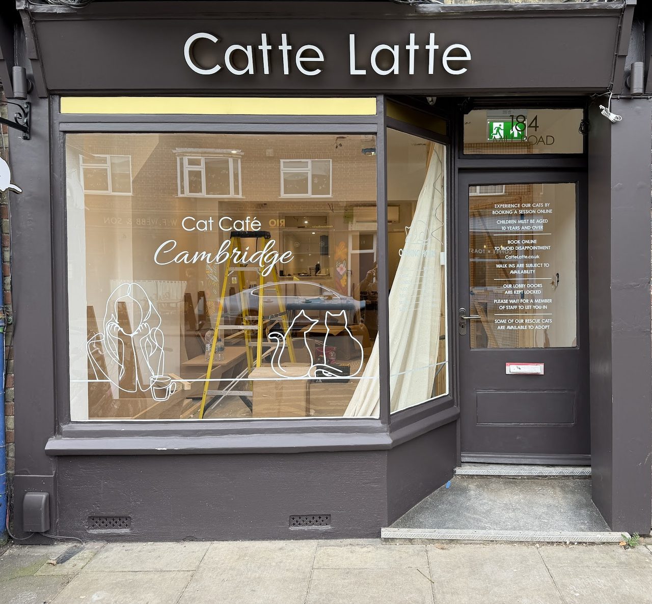 Catte Latte