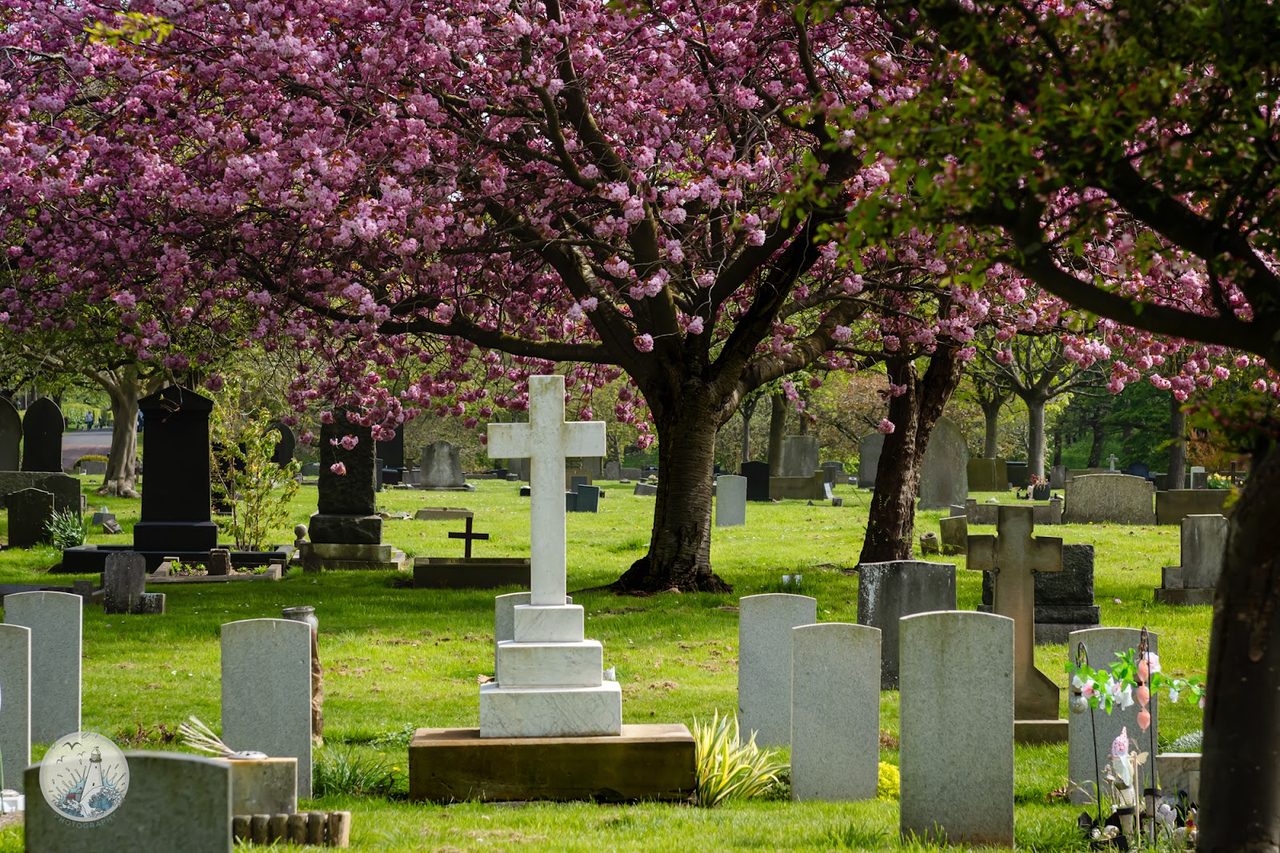 Cemetery Tea Room