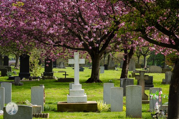 Cemetery Tea Room