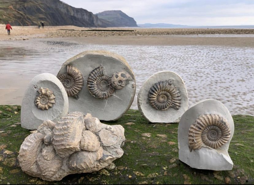 CHARMOUTH CENTRAL LTD