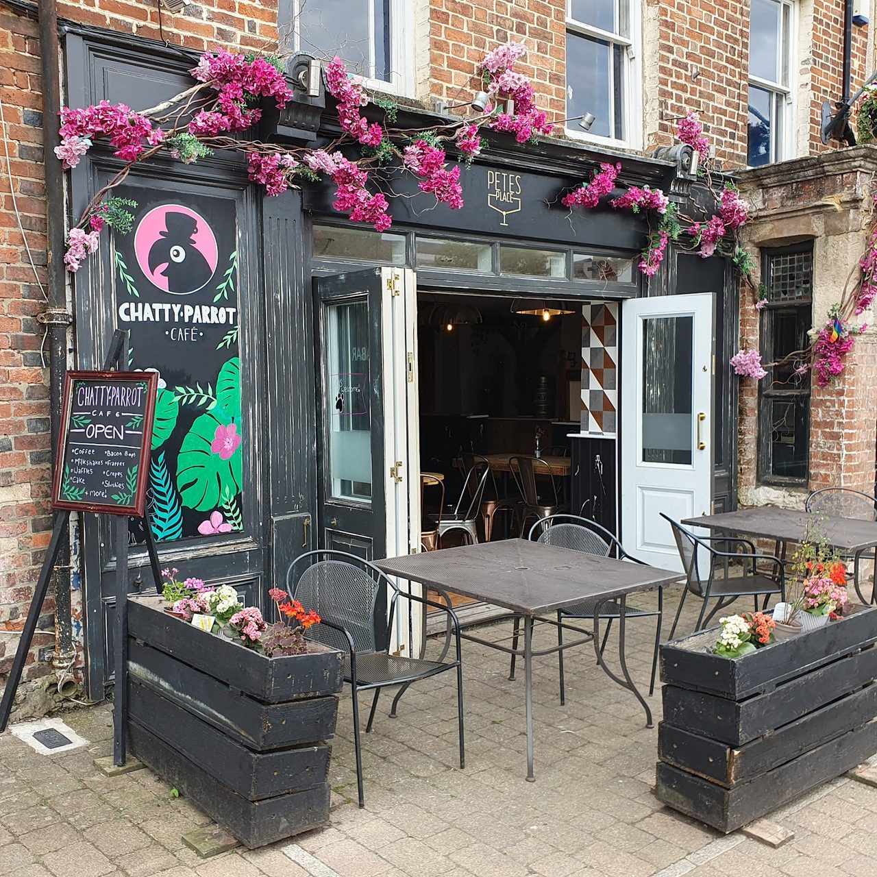 Chatty Parrot Cafe