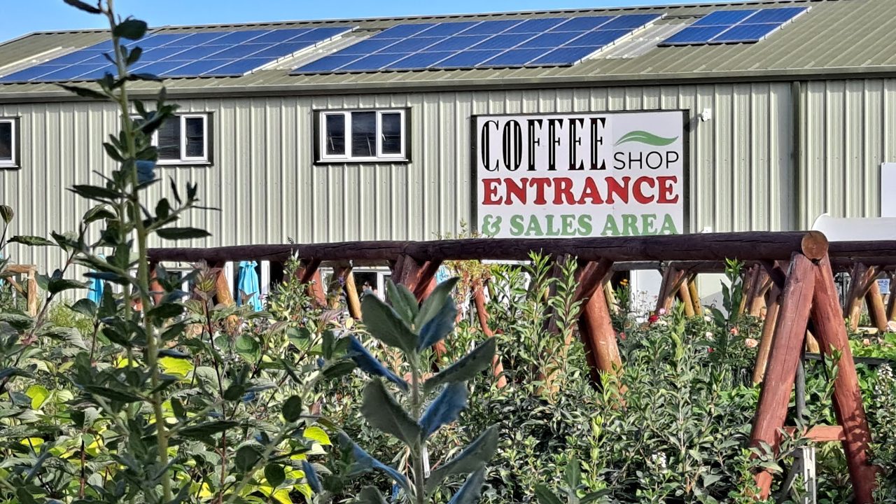 Cherry Tree Café