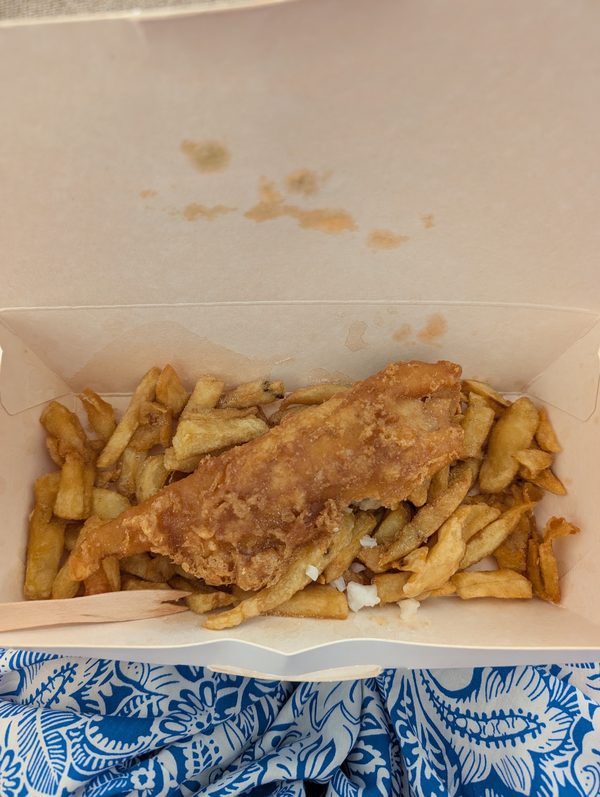 Chip N Fin