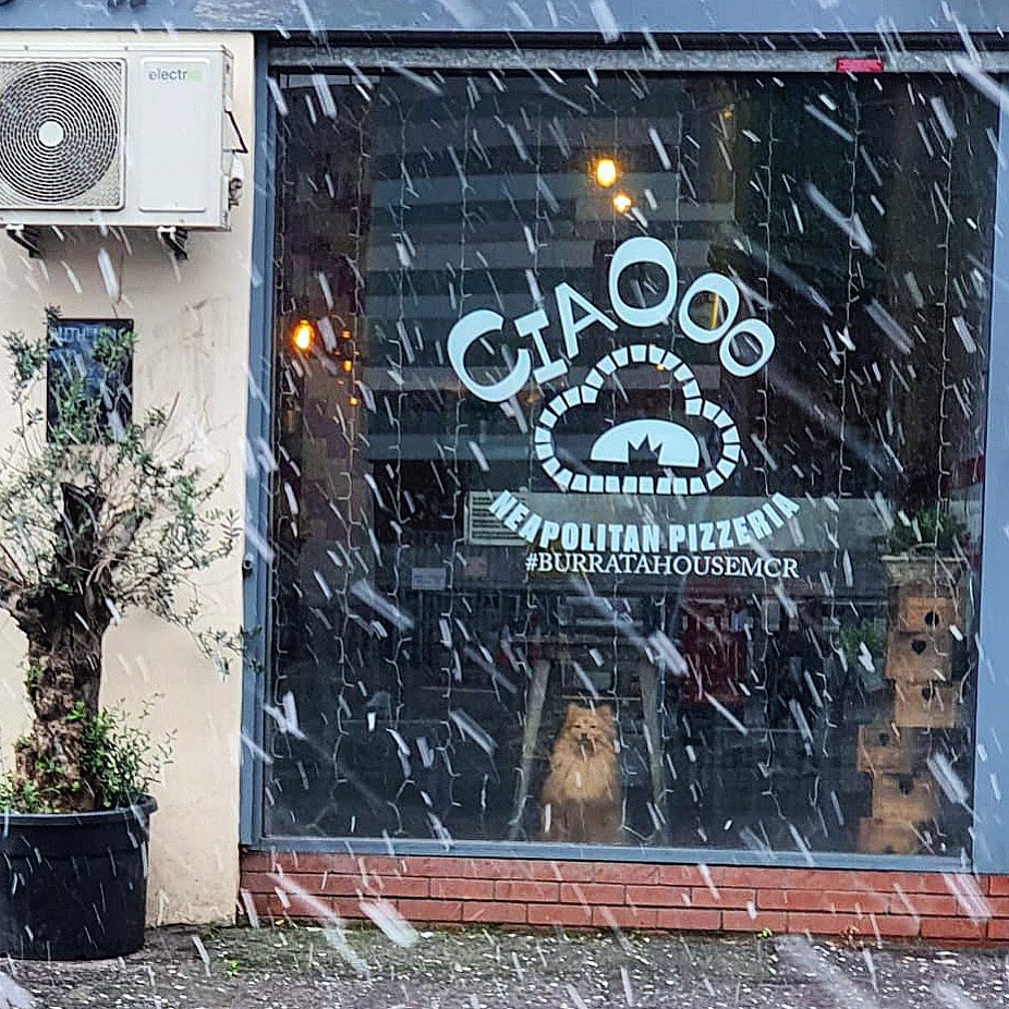 Ciaooo Pizzeria