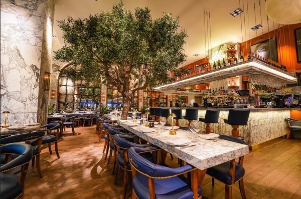 Cibo Gran Cafe