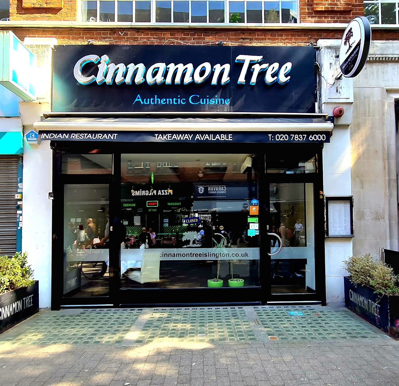Cinnamon Tree