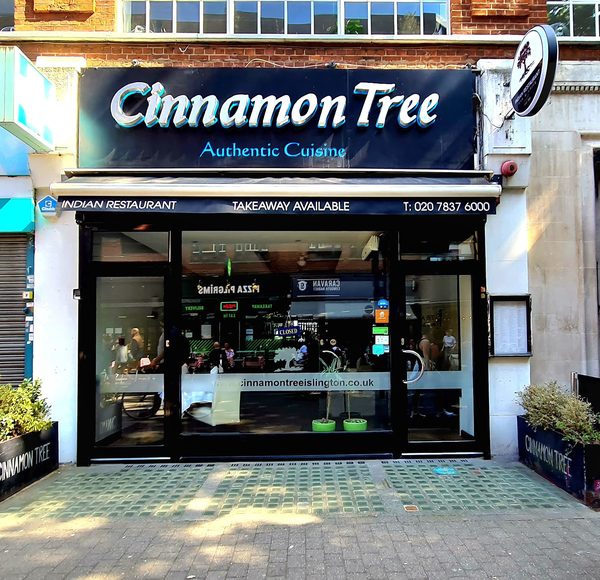 Cinnamon Tree