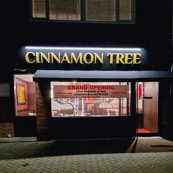 Cinnamon Tree