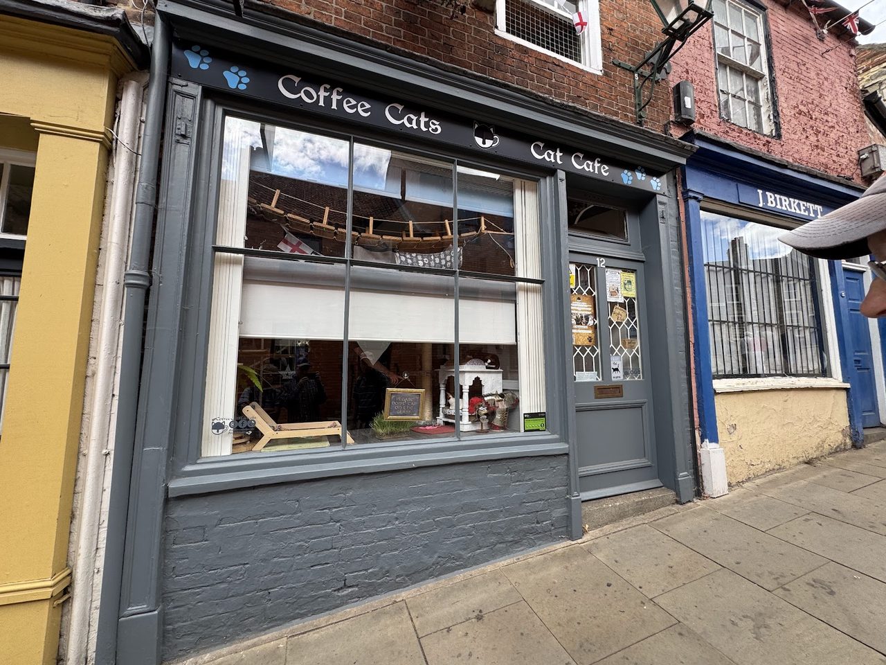 Coffee Cats Lincoln
