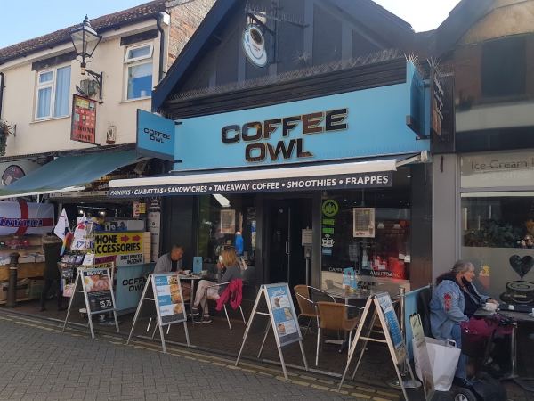 Coffee Owl
