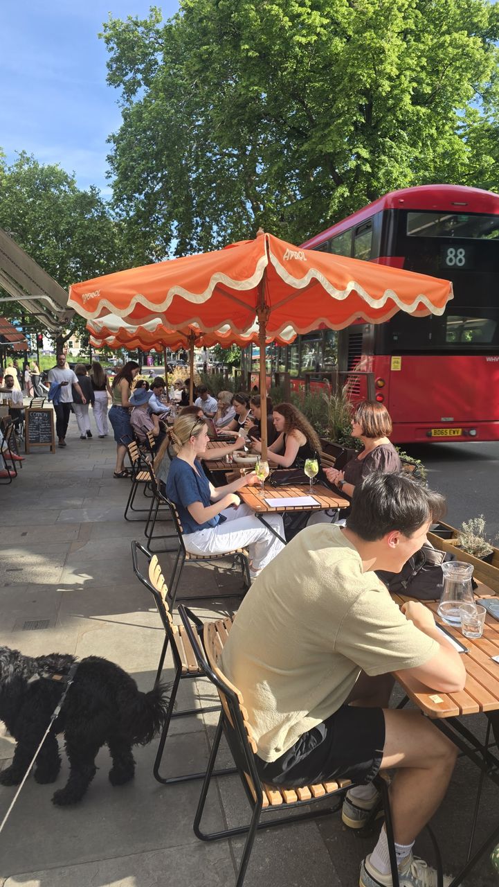 Common Clapham