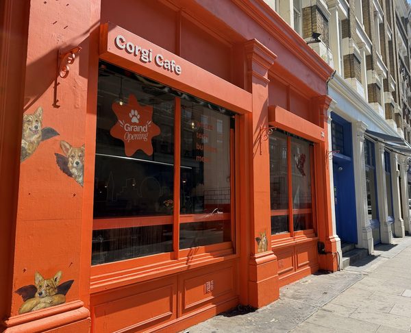 Corgi Cafe