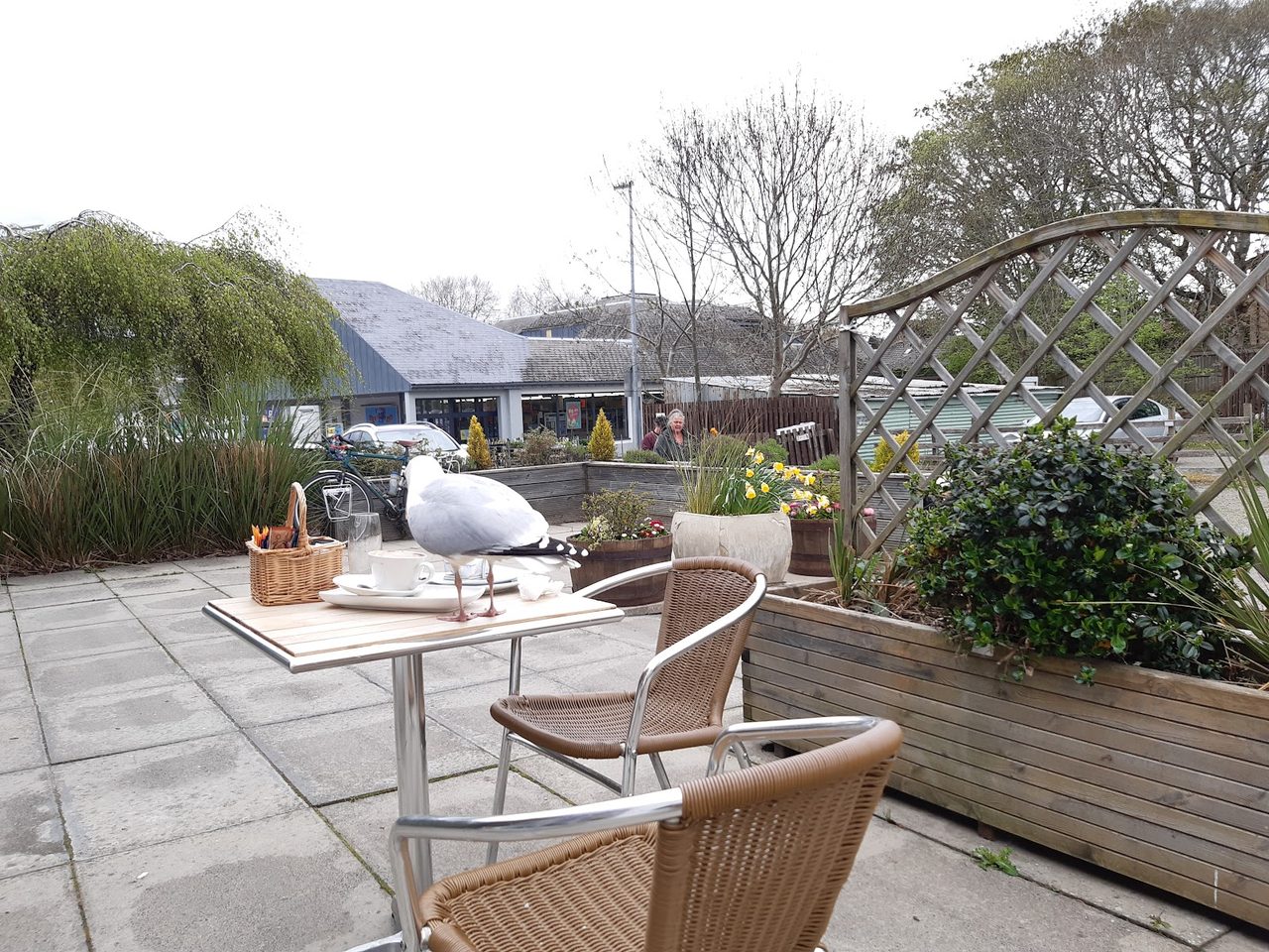 Courtyard Cafe