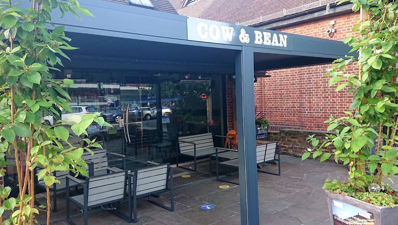 Cow And Bean